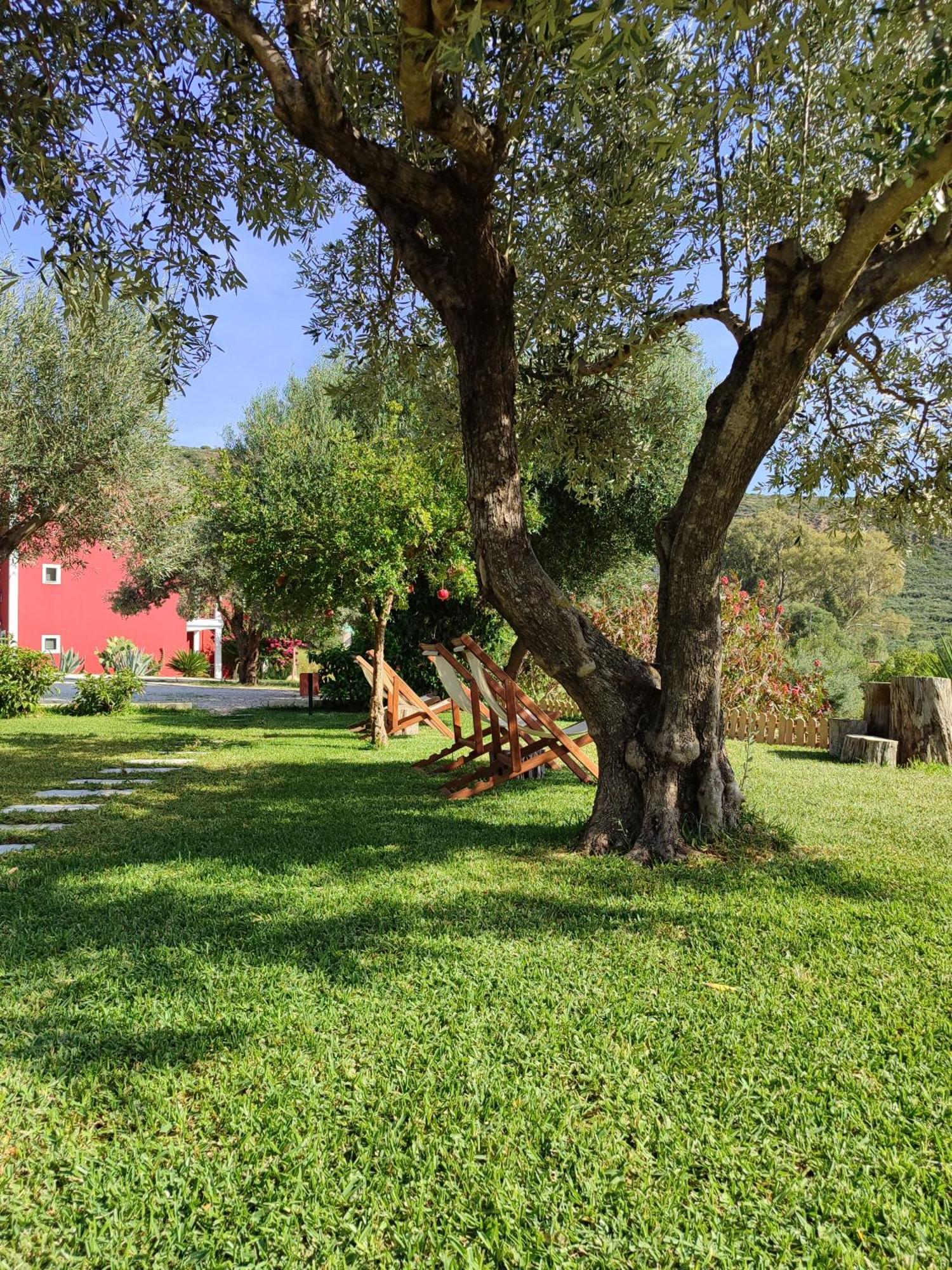 Kykeon Studios Katelios Exterior foto